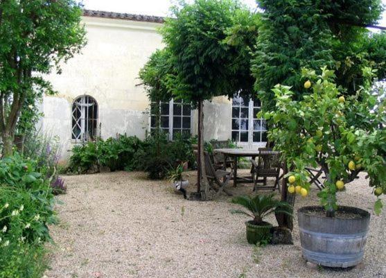Bed and Breakfast Chateau Belles Graves à Pomérols Extérieur photo